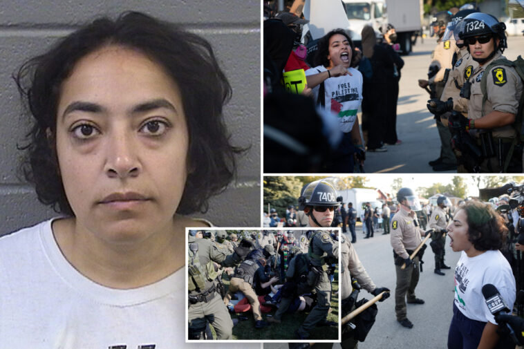 far-left-professor-eman-abdelhadi-charged-with-violent-felonies-after-chicago-ice-facility-riots