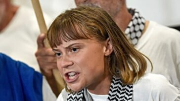 watch:-trump-urges-‘troublemaker’-greta-thunberg-to-‘see-a-doctor’-after-israeli-deportation
