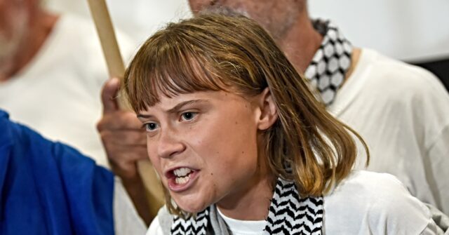 watch:-trump-urges-‘troublemaker’-greta-thunberg-to-‘see-a-doctor’-after-israeli-deportation