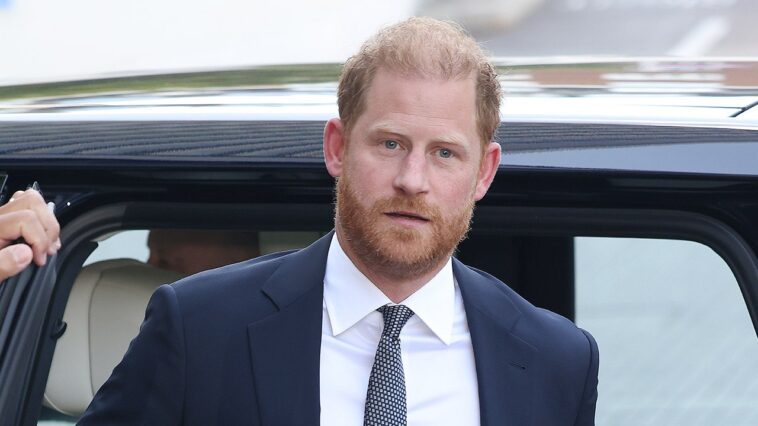 prince-harry-stalker-got-within-feet-of-duke-during-charity-events-on-recent-uk-trip
