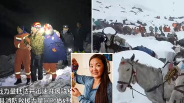 rescue-operation-for-stranded-everest-trekkers-already-critical,-experts-warn:-‘in-24-hours-you-could-die’