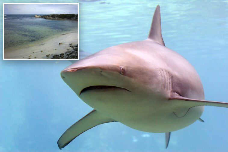 surfer-attacked-by-shark-at-kangaroo-island-tourist-spot