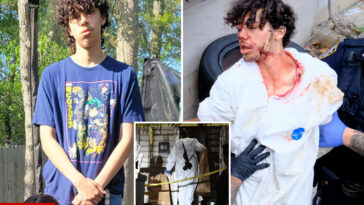 troubled-staten-island-teen-accused-of-decapitating-mom’s-bf-shares-gory-confession-details:-sources