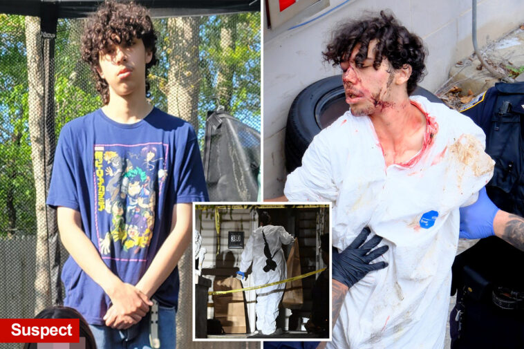 troubled-staten-island-teen-accused-of-decapitating-mom’s-bf-shares-gory-confession-details:-sources