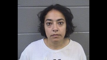 leftist-professor-charged-after-participating-in-violent-chicago-anti-ice-riots