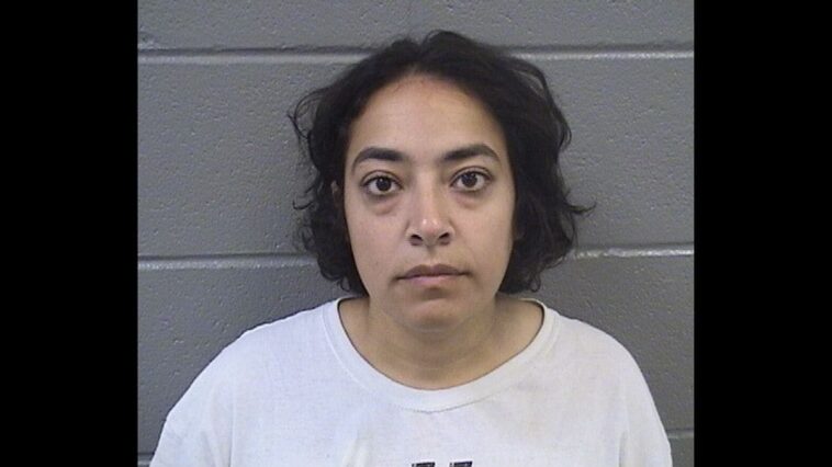 leftist-professor-charged-after-participating-in-violent-chicago-anti-ice-riots