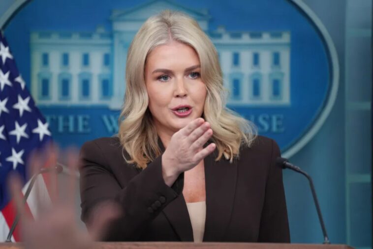 tariffs-will-feed-7-million-mothers-and-babies-during-shutdown,-white-house-says