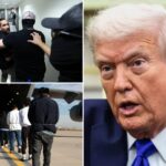 ice-on-track-to-deport-600k-migrants-in-2025,-2-million-have-left:-‘just-the-beginning’