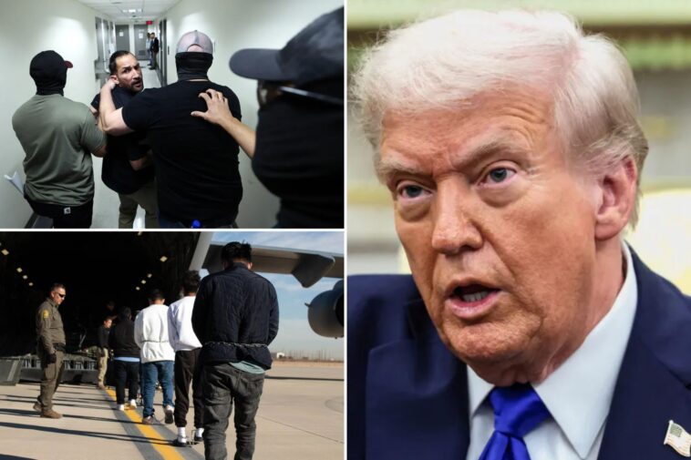ice-on-track-to-deport-600k-migrants-in-2025,-2-million-have-left:-‘just-the-beginning’