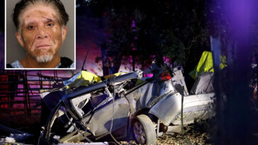 undocumented-migrant-deported-multiple-times-charged-in-drunken-crash-that-killed-6