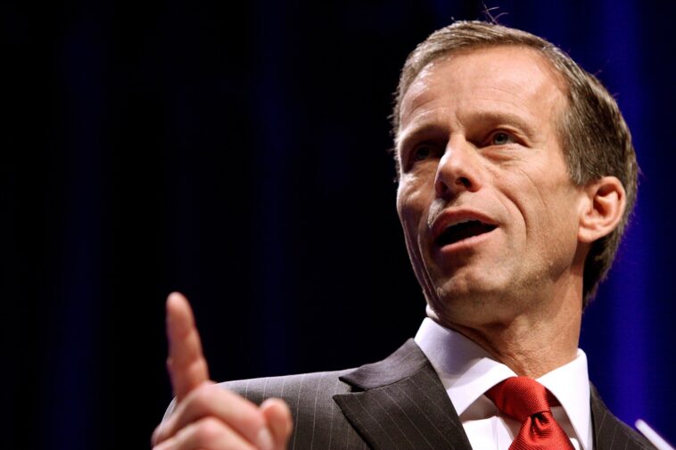 report:-thune-betrays-maga,-begs-trump-not-to-lay-off-government-employees-during-shutdown,-wastes-once-in-a-lifetime-opportunity