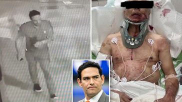 new-mark-sanchez-video-shows-erratic-and-troubling-behavior-before-alleged-attack-on-truck-driver