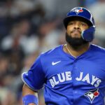 yankees-fan-throws-can-at-vladimir-guerrero-jr’s-family-before-elimination:-report