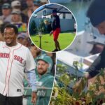 famed-mlb-hothead-pedro-martinez-now-relaxes-by-keeping-his-gardens-‘groomed-and-beautiful’-like-‘a-little-girl’