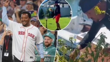 famed-mlb-hothead-pedro-martinez-now-relaxes-by-keeping-his-gardens-‘groomed-and-beautiful’-like-‘a-little-girl’