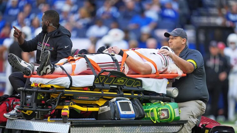 cardinals’-travis-vokolek-leaves-game-on-stretcher-after-scary-neck-injury