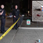 good-samaritan-stabbed-trying-to-stop-thief-from-stealing-woman’s-phone-steps-from-columbus-circle:-cops