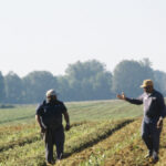 gop-rep.-downing:-montana-farmers-will-‘hit-crisis-mode’-without-help,-they-don’t-have-markets