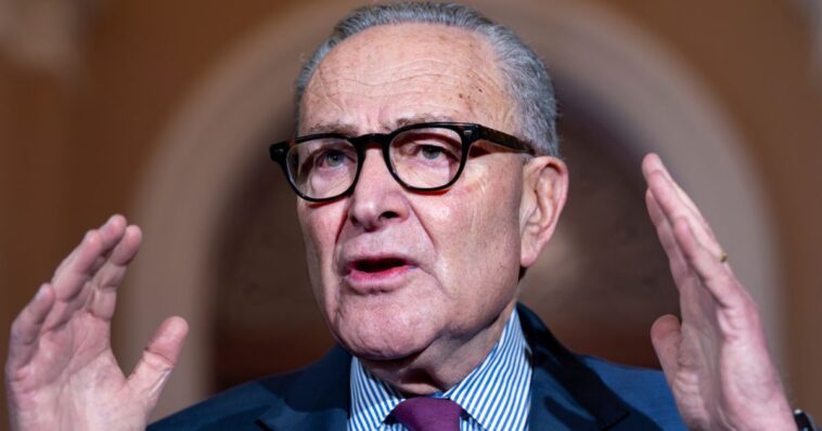 schumer-learns-‘never-strike-a-king’-lesson-as-trump-drives-stake-through-heart-of-his-pet-multi-billion-project