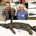decades-old-mystery-of-elusive-‘sword-dragon’-skeleton-finally-solved:-scientists