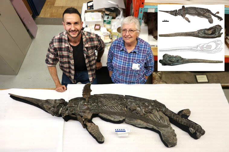 decades-old-mystery-of-elusive-‘sword-dragon’-skeleton-finally-solved:-scientists