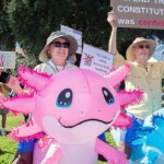 ‘no-kings’-protests-largely-comprised-of-people-from-one-demographic:-experts