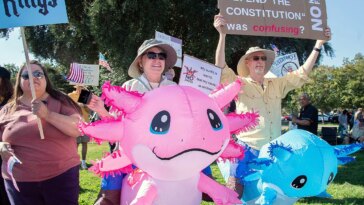 ‘no-kings’-protests-largely-comprised-of-people-from-one-demographic:-experts