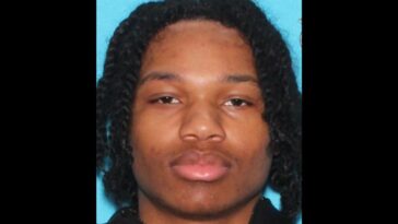 detroit-man-who-allegedly-shot-into-crowd-at-firework-show-has-case-dismissed