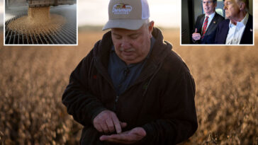 treasury-secretary-bessent-says-he-felt-‘pain’-from-china-tariffs-because-he-is-‘actually-a-soybean-farmer’