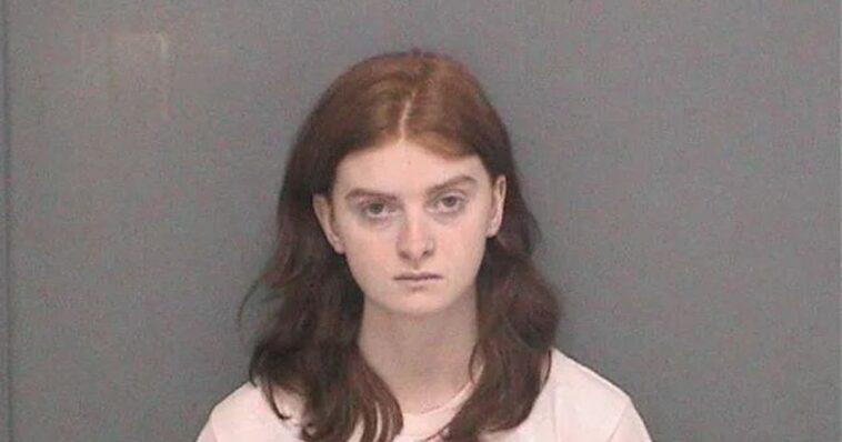 trans-teen-confesses-to-planned-valentine’s-day-mass-shooting-in-honor-of-parkland-shooter