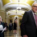 watch:-chuck-schumer-accidentally-admits-the-truth-when-asked-about-biden-and-the-epstein-files