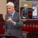 senate-healthcare-goper-courts-dems-on-obamacare-change:-‘a-lot-of-appeal’