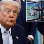 ‘massive’-drop-in-latino-support-for-trump-stuns-cnn-analyst-harry-enten:-‘38-points-underwater’