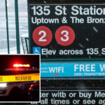 stranger-pushes-good-samaritan,-56,-into-moving-nyc-train-as-she-tries-to-settle-fight,-breaking-her-back:-cops,-sources