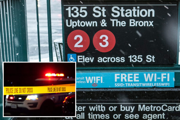 stranger-pushes-good-samaritan,-56,-into-moving-nyc-train-as-she-tries-to-settle-fight,-breaking-her-back:-cops,-sources