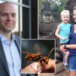 director-of-elite-private-school,-son-stung-to-death-by-swarm-of-asian-giant-hornets-during-zip-line-vacation