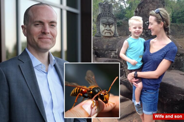 director-of-elite-private-school,-son-stung-to-death-by-swarm-of-asian-giant-hornets-during-zip-line-vacation