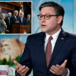 arctic-frost-provision-in-spending-bill-to-let-spied-on-senators-sue-for-$500k-will-‘probably’-be-repealed:-mike-johnson