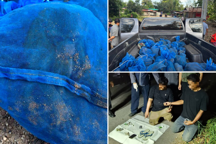 two-men-caught-smuggling-81-monkeys,-meth-as-part-of-international-smuggling-ring,-authorities-say