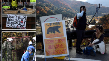 japanese-tourist-village-battles-to-keep-bears-at-bay