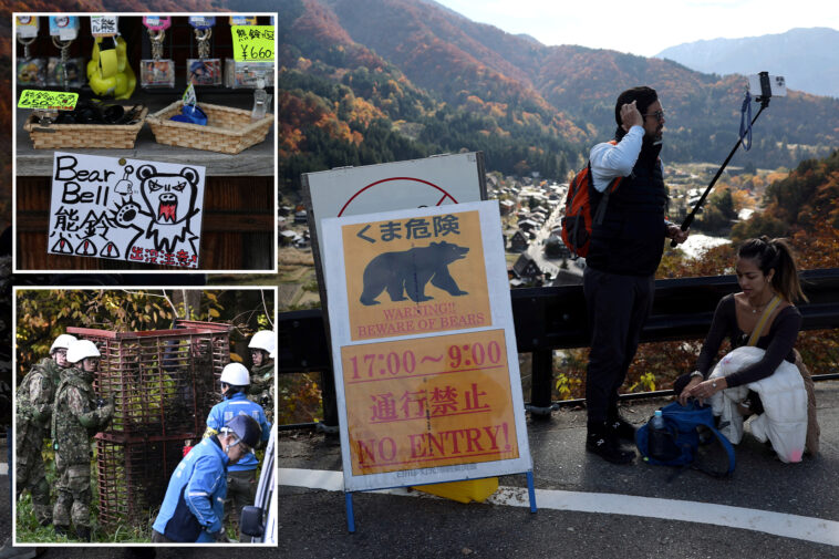japanese-tourist-village-battles-to-keep-bears-at-bay