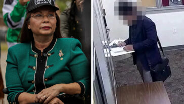 democratic-senator-fires-staffer-who-posed-as-illegal-immigrant-lawyer-to-spring-him-from-ice-custody