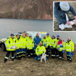 lucky-dog-‘remarkably-unscathed’-after-falling-100-feet-down-scottish-cliff