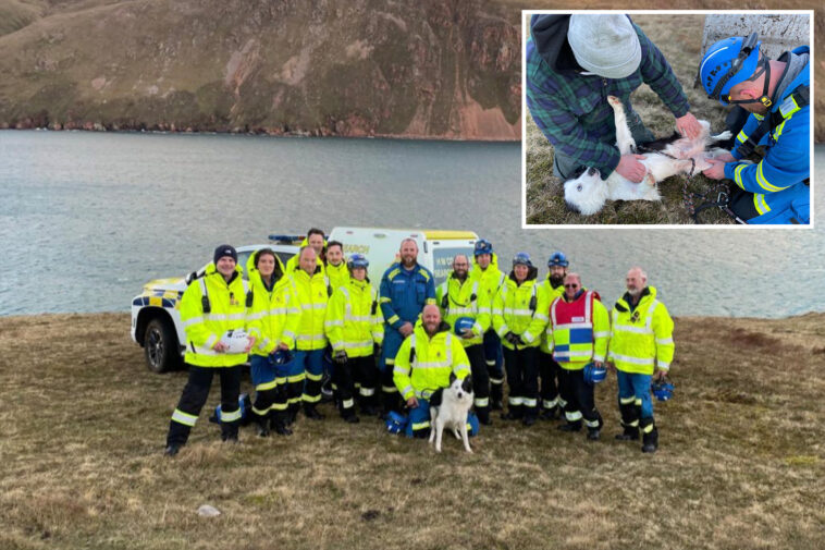 lucky-dog-‘remarkably-unscathed’-after-falling-100-feet-down-scottish-cliff