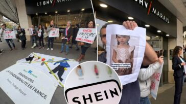 france-threatens-to-block-shein-over-sale-of-childlike-sex-dolls-ahead-of-store-opening