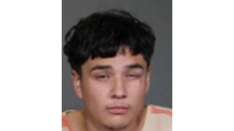 hammer-wielding-illegal-immigrant-with-rap-sheet-attacks-female-jogger-in-texas