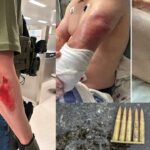 nearly-100-vehicular-attacks-on-ice-agents-this-year-as-violence-against-them-soars