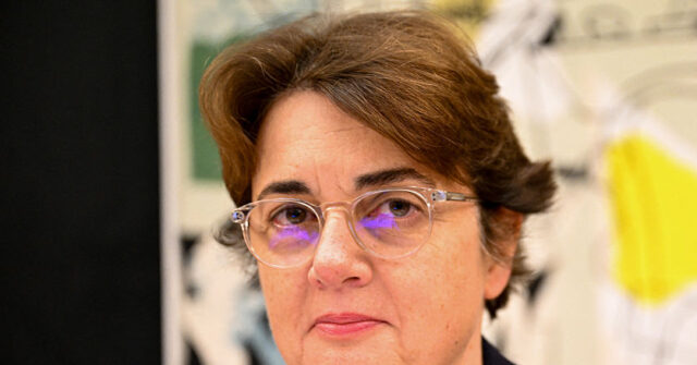 paris-louvre-museum-installs-new-security-cameras-after-heist