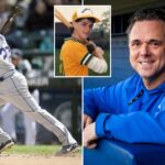 li-diamond-hero,-who-spent-14-years-in-major-leagues,-named-to-ny-baseball-hall-of-fame:-‘it’s-pretty-humbling’