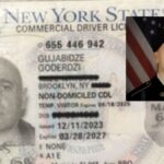 illegal-immigrant-plows-18-wheeler-into-military-humvee,-killing-national-guardsman